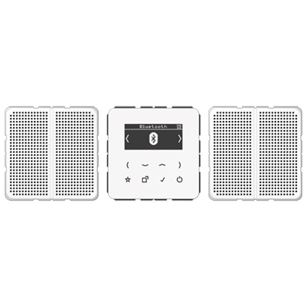 Цифровое радио DAB+/FM с поддержкой Bluetooth стерео Jung CD белый/белый