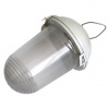Светильник ЭРА НСП 02-100-001 без решетки Желудь сталь/стекло IP54 E27 max100W 170х260 белый