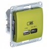 Зарядка USB тип А + тип С 45W высокоскоростная зарядка QC, PD,SE Glossa, фисташковый
