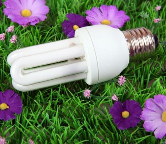 Некоторые особенности эксплуатации энергосберегающих ламп