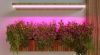 Светодиодные линейные светильники LED для растений