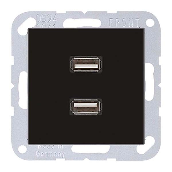 Розетка USB-удлинитель 2 местная Jung A Черный механизм+накладка