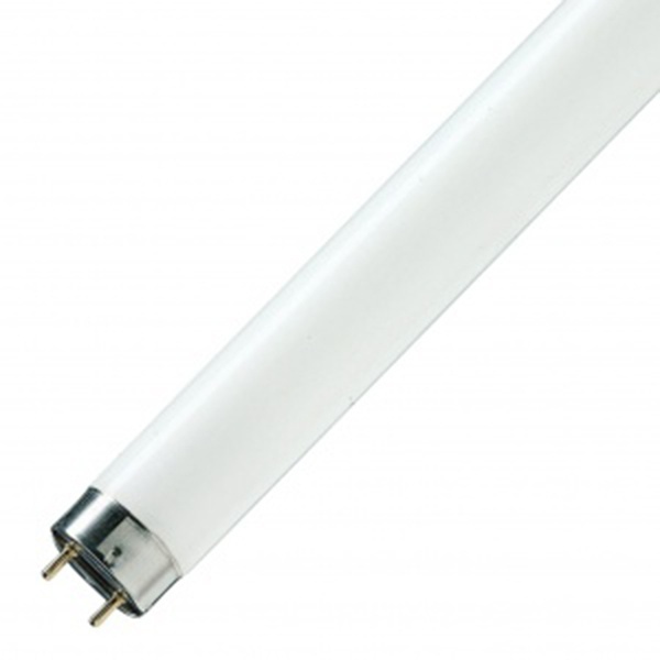 Люминесцентная линейная лампа T8 L 58W/640 4000К G13 1500mm СМ Osram