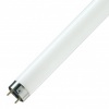 Люминесцентная линейная лампа T8 L 36W/954 5400K DE LUXE G13 1200mm Osram