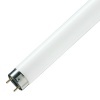 Люминесцентная линейная лампа T8 TL-D 36W/54-765 6500K G13 1200mm Philips