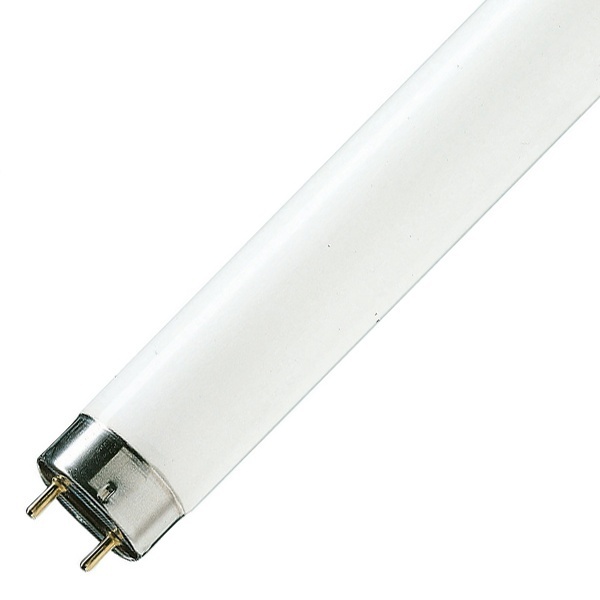 Люминесцентная линейная лампа T8 TL-D 90 36W/952 5200K Graphica G13 1200mm Philips