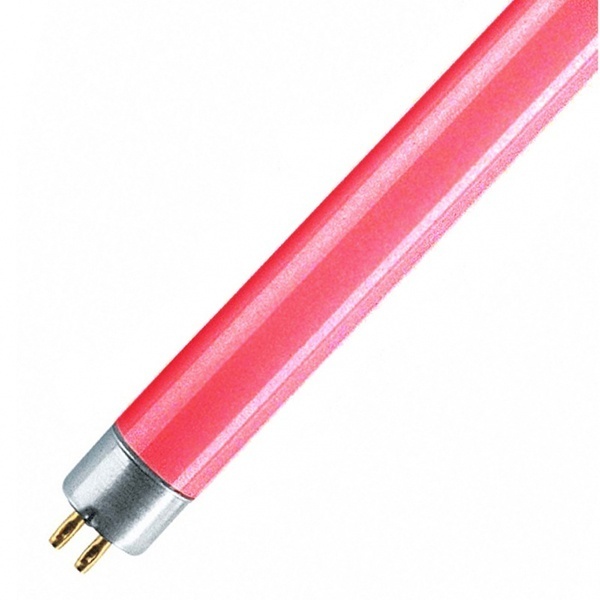 Люминесцентная линейная лампа T4 LT4 8W RED G5 красный Foton