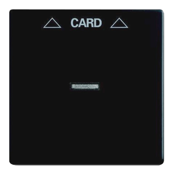 Накладка для механизма карточного выключателя 2025 U ABB future черный бархат (1792-885)
