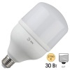 Лампа светодиодная ЭРА LED POWER T100 30W 2700K E27 562958