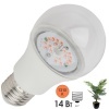 Лампа светодиодная для растений рассады ЭРА FITO-14W-RB-E27-K 14W 1310K 220V E27 RB d60х110mm 786137