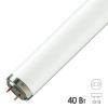 Лампа Philips Actinic BL TL-K 40W/10-R G13 350-400nm сушка гель-лак-полимер