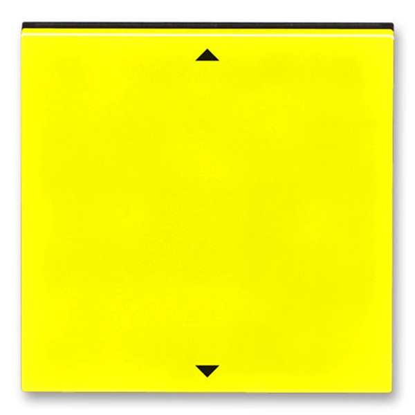 Накладка Busch-Jalousiecontrol II ABB Levit с маркировкой жёлтый/дымчатый черный (3299H-A00110 64)