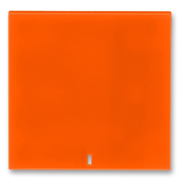 Сменная панель ABB Levit с линзой на клавишу для выключателя одноклавишного оранжевый