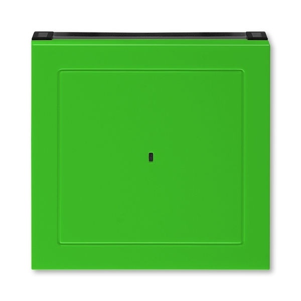 Накладка ABB Levit для выключателя карточного зелёный / дымчатый чёрный