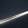 Светодиодная LED лента Feron LS501 120SMD(2835)/м 11Вт/м 24V 5000х8х1.22мм 4000К