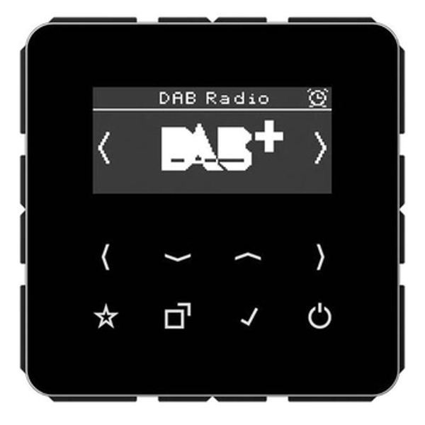 Цифровое радио DAB+/FM Jung LS черный