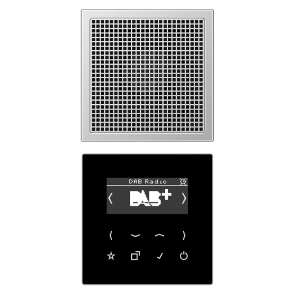 Цифровое радио DAB+/FM с поддержкой Bluetooth моно Jung LS черный/алюминий