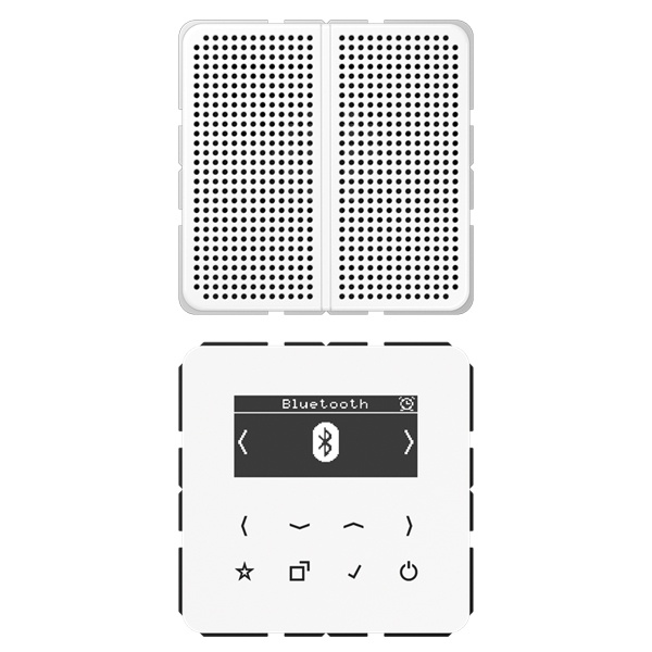 Цифровое радио DAB+/FM с поддержкой Bluetooth моно Jung CD белый/белый