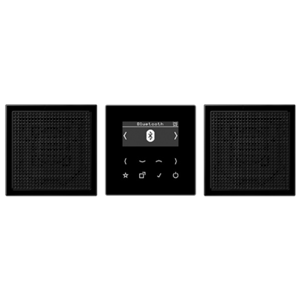 Цифровое радио DAB+/FM с поддержкой Bluetooth стерео Jung LS черный/черный