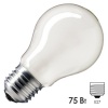 Лампа накаливания Standard A55 FR 75W 230V E27 матовая Philips