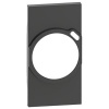 Лицевая панель для комбинированных розеток 2К+З/USB 2 модуля BTicino Living Now черный
