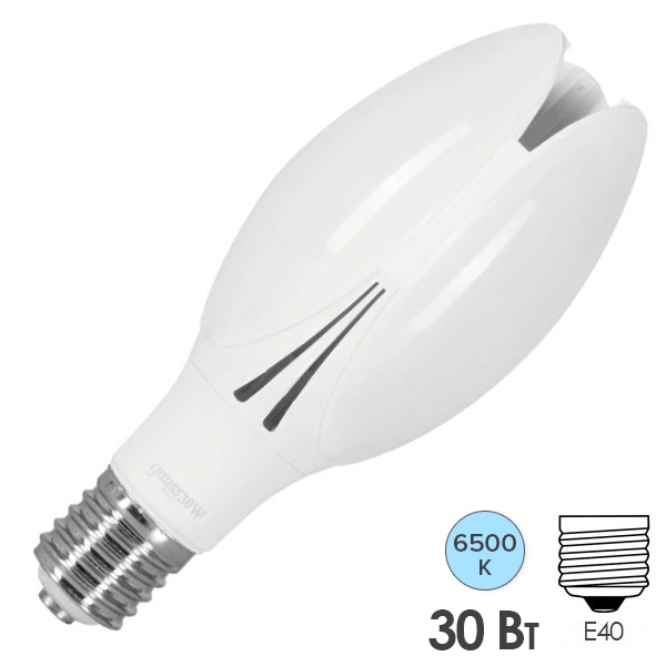 Лампа светодиодная LED Basic BT100 30W 6500K 180-240V E40 2950lm Gauss