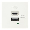 USB зарядное устройство 4.2A 20Вт Type A + C 2 модуля (45х45мм) Donel белый