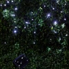 Садовая гирлянда ЭРА ERASF22-29 Бахрома на солнечной батарее холодный свет 110 LED 3.8x0.5m IP44