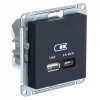 Зарядка USB тип А + тип С 45W высокоскоростная зарядка QC, PD,SE AtlasDesign, карбон