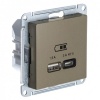 Зарядка USB тип А + тип С 45W высокоскоростная зарядка QC, PD,SE AtlasDesign, шампань