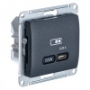 Зарядка USB тип С 65W высокоскоростная зарядка QC, PD,SE Glossa, антрацит