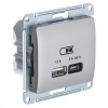 Зарядка USB тип А + тип С 45W высокоскоростная зарядка QC, PD,SE Glossa, платина