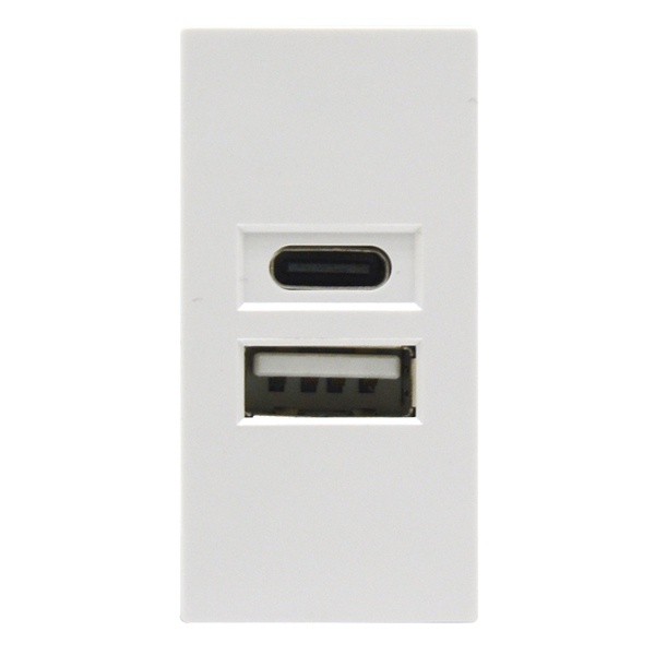 USB зарядное устройство 2.1A Type A + C 1 модуль (22,5х45мм) Donel белый