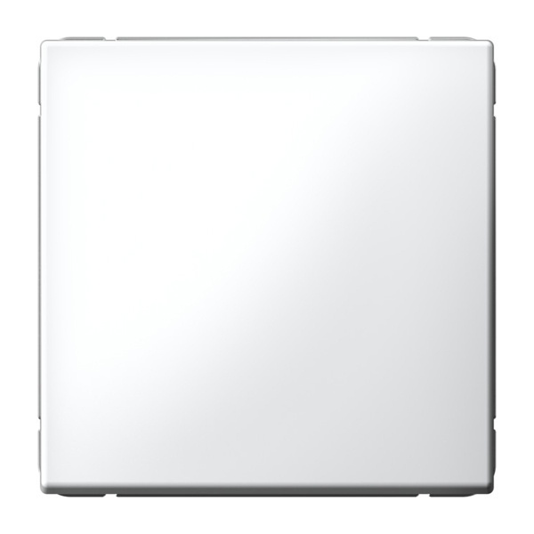 Одноклавишный выключатель SE ArtGallery 10А быстрозажимные клеммы белый