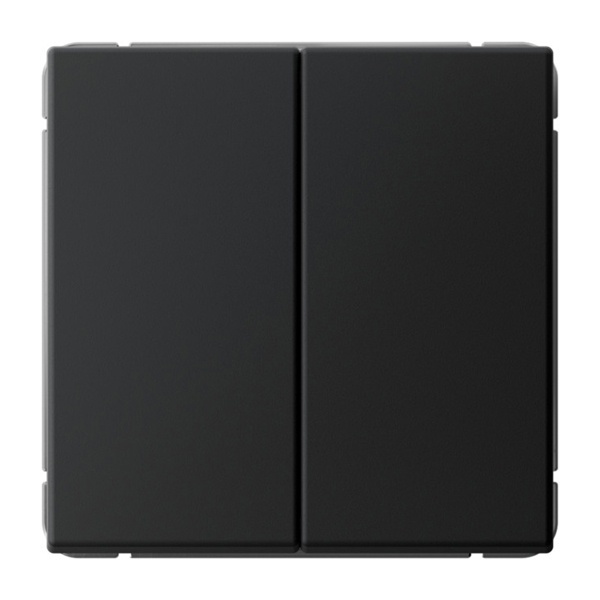 Двухклавишный выключатель SE ArtGallery 10А быстрозажимные клеммы карбон