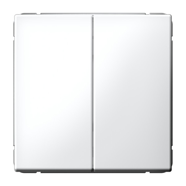 Двухклавишный переключатель SE ArtGallery 10А быстрозажимные клеммы лотос