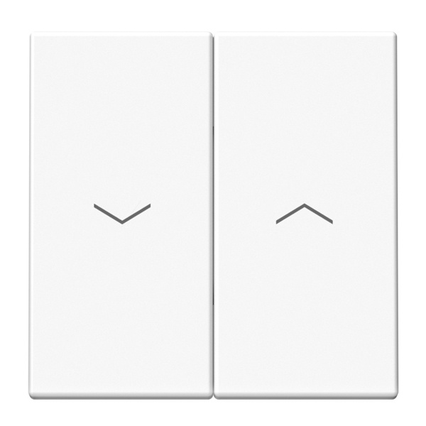 Двухклавишная кнопка без фиксации для жалюзи SE ArtGallery 10А быстрозажимные клеммы белая