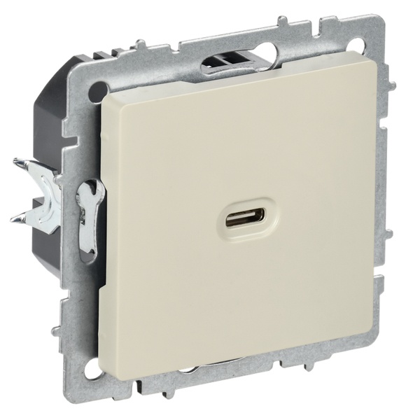 Зарядка высокоскоростная ИЭК BRITE USB С 65Вт бежевый (РЮ12-1-БрКр)