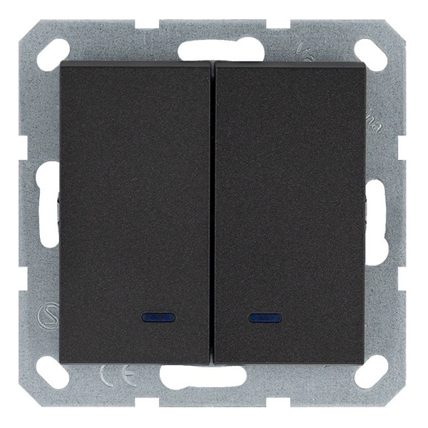 Выключатель двухклавишный c индикацией Jasmart G 10A, антрацит