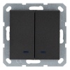 Выключатель двухклавишный c индикацией Jasmart G 10A, антрацит