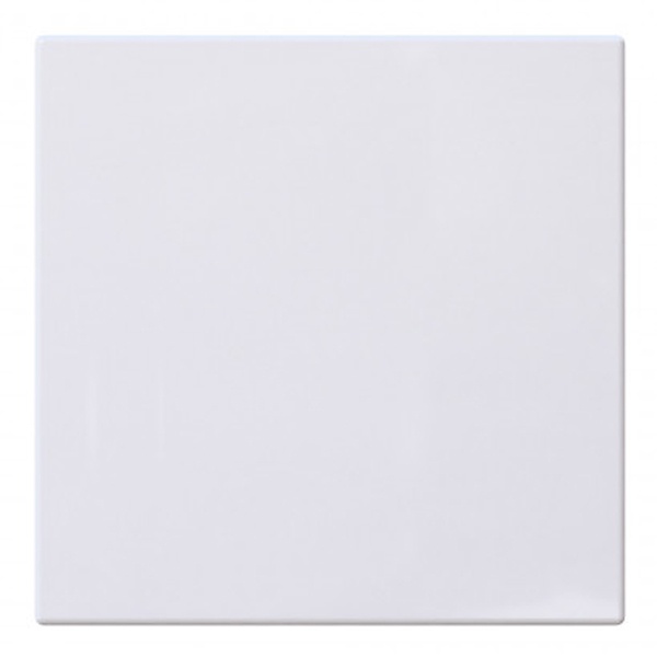 Выключатель одноклавишный проходной Jasmart FD 10A, белый глянцевый