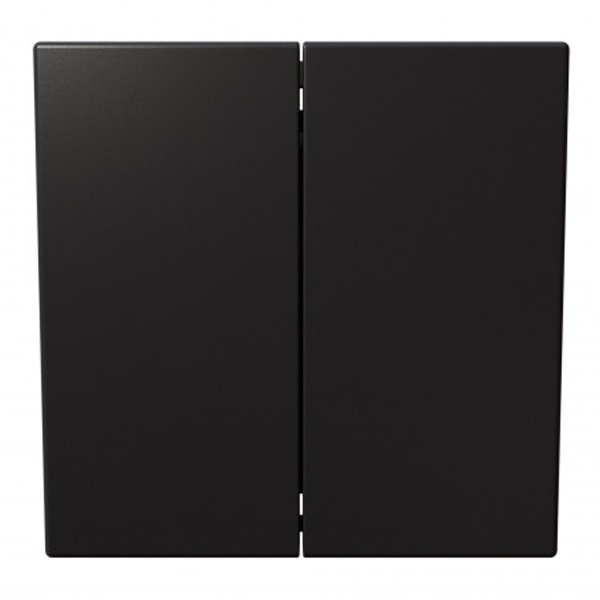 Двухклавишный кнопочный переключатель Jasmart FD 10A, никель