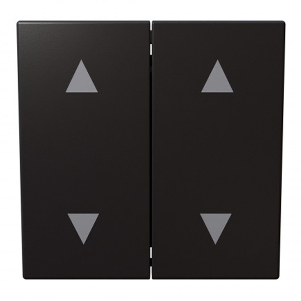 Выключатель двухклавишный для штор Jasmart FD 10A, никель