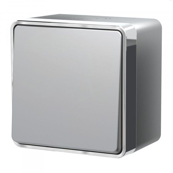 Выключатель накладной одноклавишный влагозащищенный Werkel Gallant серебряный