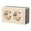 Розетка накладная двойная с заземлением Werkel Gallant шампань рифленый