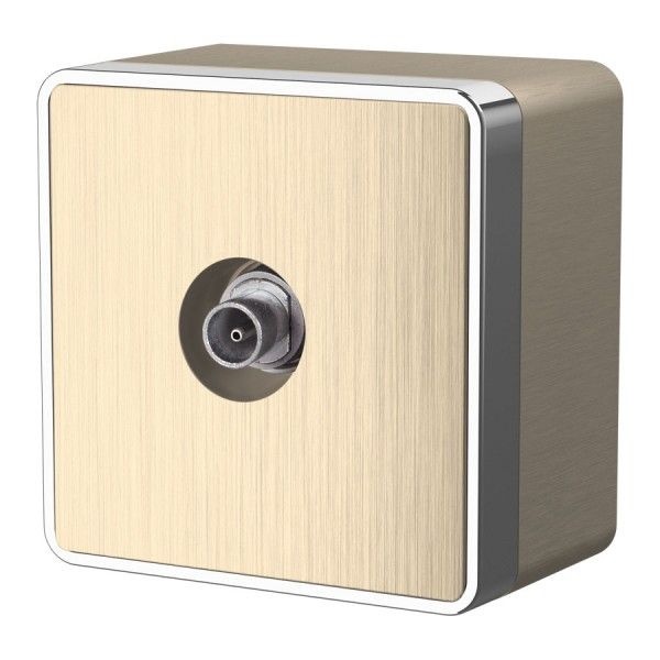 ТВ-розетка накладная оконечная Werkel Gallant шампань рифленый