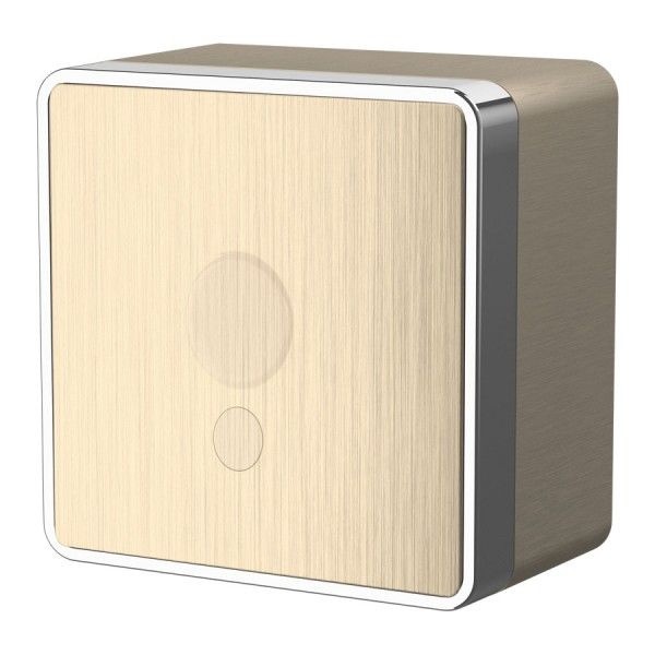 Вывод кабеля накладной Werkel Gallant шампань рифленый