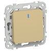 Выключатель одноклавишный с индикацией ИЭК FLITE ВС11-1-1-ФлШм 10А шамуа