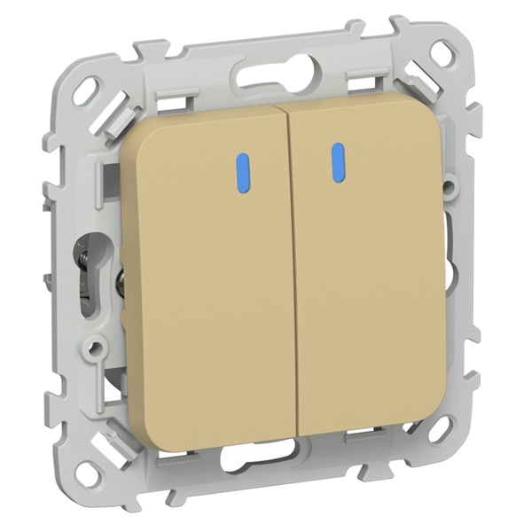 Выключатель двухклавишный с индикацией ИЭК FLITE ВС12-1-1-ФлШм 10А шамуа