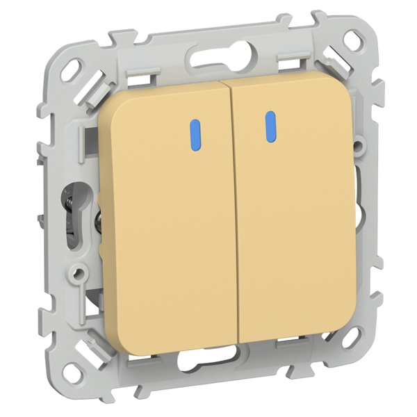 Выключатель двухклавишный с индикацией ИЭК FLITE ВС12-1-1-ФлЗ 10А золотарник
